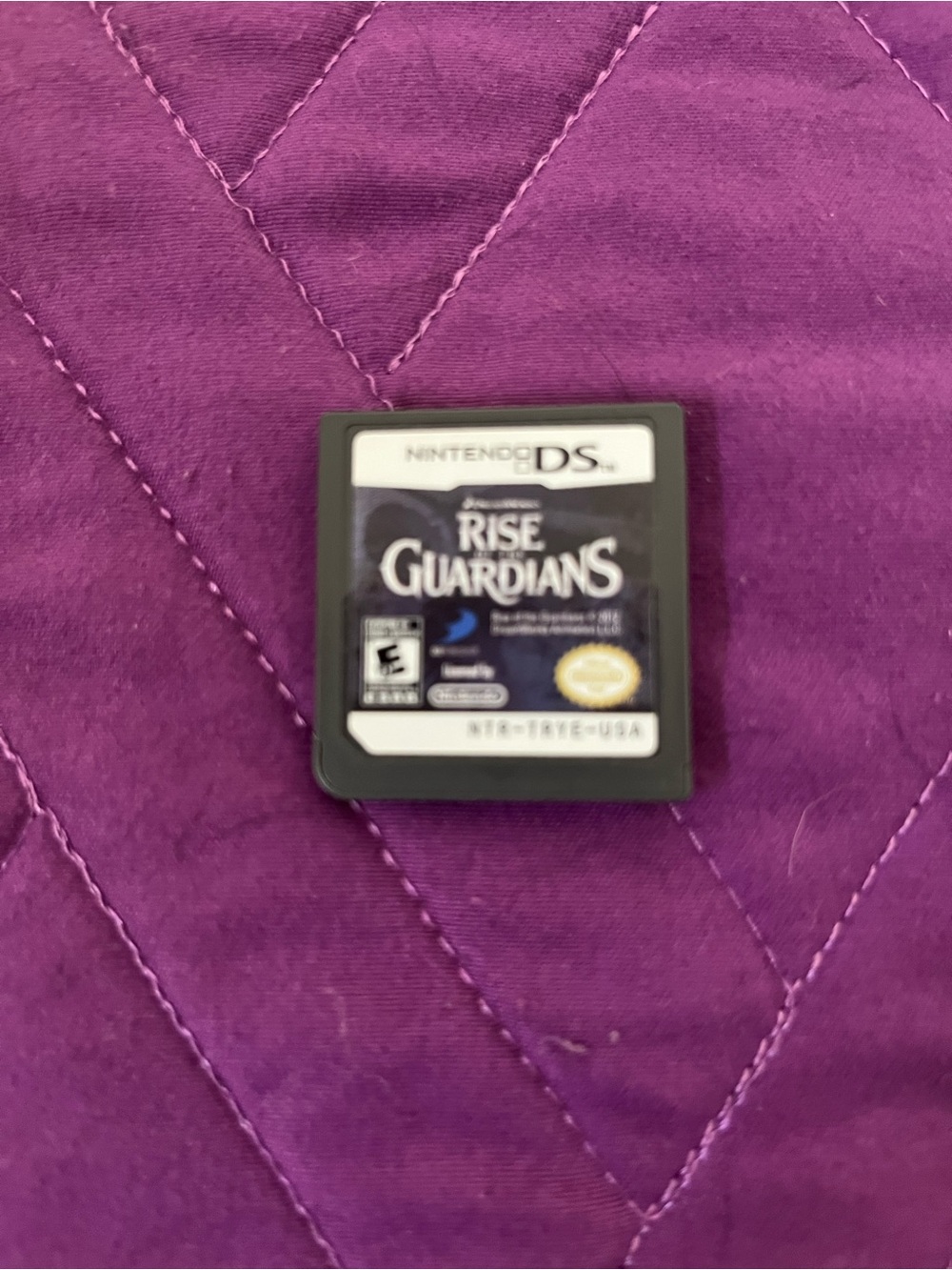 Nintendo DS Rise of the Guardians Game Cartridge - Black